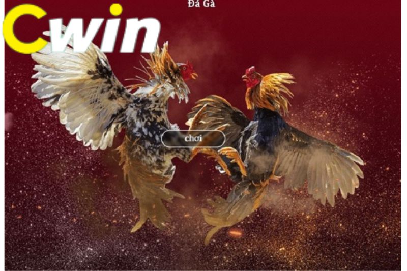 Bet66 có rất nhiều khách tham quan - Bet66
