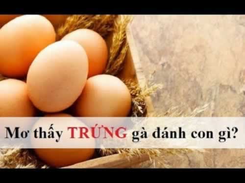 Công ty Open88 Agency cung cấp cho người dùng mới hạn mức tín dụng miễn phí 68000 đô la khi đăng ký - Open88