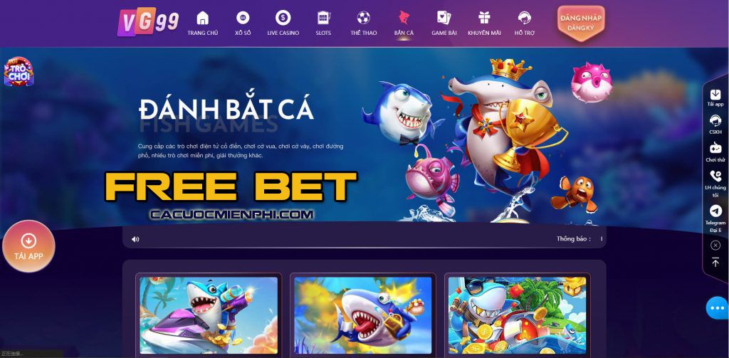 8Day là một nền tảng chơi game trực tuyến chất lượng cao tại Việt Nam - 8Day