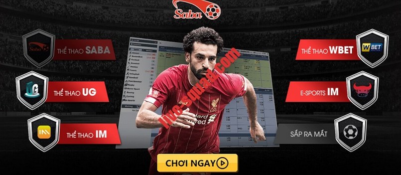 Mục đích của việc tạo ra một trang web Viu88 - Viu88