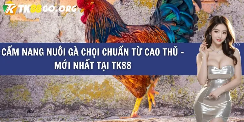 Hãy cùng khám phá những tựa game hấp dẫn mà Eu88 mang đến! - Eu88