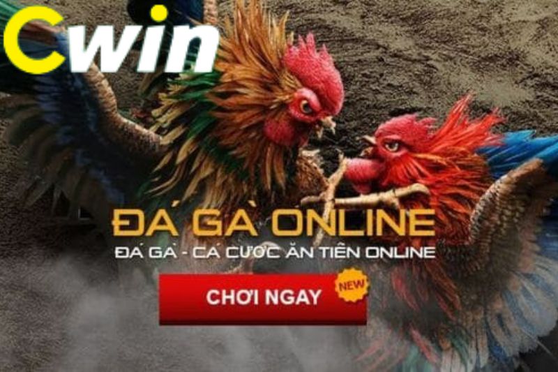Một số vấn đề thường gặp khi đặt cược với các công ty cá cược được xếp hạng Onbet - Onbet