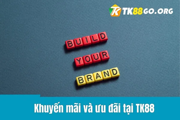 Tin tức và lời khuyên VIP của Win79 - Win79