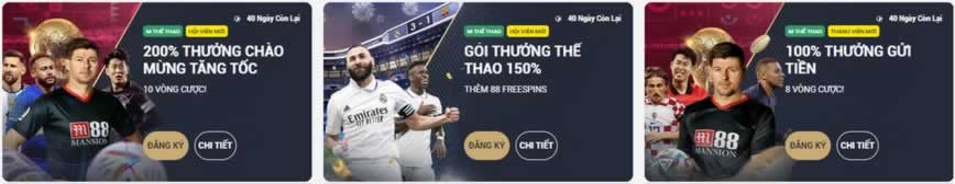 Các dịch vụ và sản phẩm của Công ty 7Ball Games - 7Ball