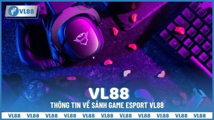 Bạn biết gì về Zm88 Online Playground? - Zm88