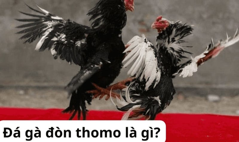 Quá trình rút tiền tại ngân hàng 123B mất bao lâu? - 123B