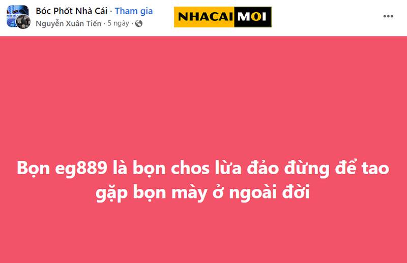 Trải nghiệm thực tế ảo trong một đấu trường đá gà đẳng cấp Sao789 - Sao789
