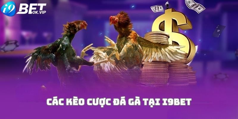 Các trò chơi hợp pháp đáp ứng tiêu chuẩn xếp hạng Melbet - Melbet