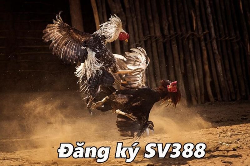 Hl8 có chương trình giảm giá đặc biệt - Hl8