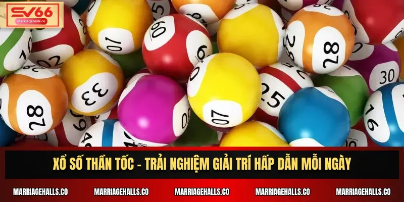 Rikvip là công ty game uy tín nhất, đứng đầu trong số các công ty game hàng đầu - Rikvip