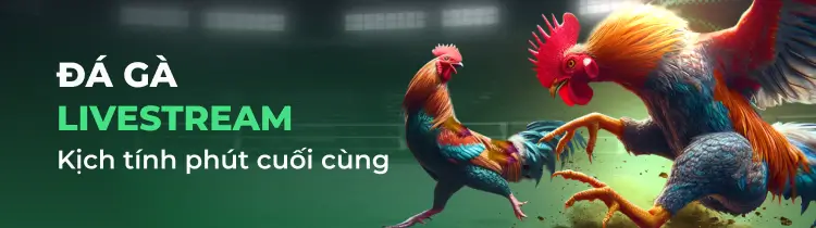 Mẹo quan trọng khi đăng nhập vào tài khoản Vn6 của bạn - Vn6